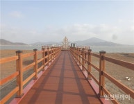인천시, 바다의 단풍 강화 석모도 칠면초 해안산책로 개방