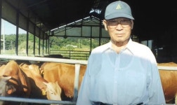 [오늘의 역사] 소 떼 방북 정주영 회장, 85세 나이로 별세