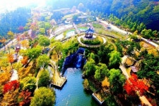 산림청 아름다운 도시숲 50선 선정...인천 도시숲 6곳 선정