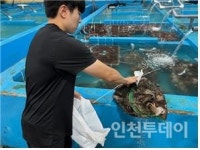 인천 수산물 221건 안전성 검사 결과 이상무