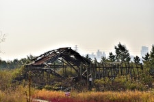 [소래습지 탐방] 염수·기수·담수습지와 소금창고, 염전