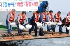 강화군, 주문도 해역 점농어 42만마리 방류… 수산자원 회복
