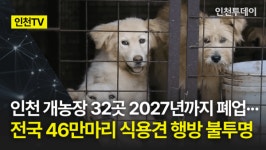[인천TV] 인천 개농장 32곳 2027년까지 폐업... 전국 46만마리 식용견 행방 불투명