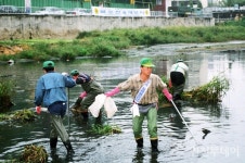 [연재] 부평 사람들이 살렸다··· 부평의 생태 젖줄, 굴포천