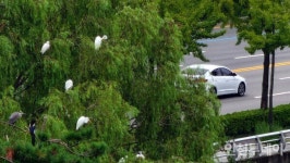 [연재] 부평 사람들이 살렸다··· 부평의 생태 젖줄, 굴포천