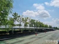 인천시, 국내 최초 태양광 사업 온실가스 감축 실적 인정