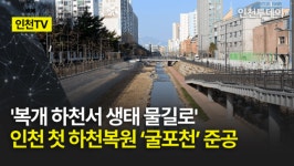 [인천TV] 복개 하천서 생태 물길로 인천 첫 하천복원 굴포천 준공