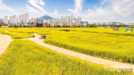 계양구, 꽃마루 체육단지 조성 국토부와 협의 장기화···여전히 심사 중