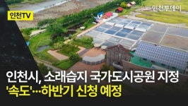 [인천TV] 인천시, 소래습지 국가도시공원 지정 '속도'···하반기 신청 예정