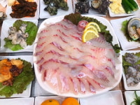 여수 맛집 사계절 횟집, 싱싱한 자연산 활어회 맛볼 수 있는 장소로 관심