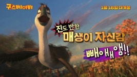 영화 구스 베이비, 전현무·박성광의 애드립 완전정복 영상 눈길