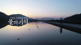 영화 물의 기억 메인 예고편 최초 공개!