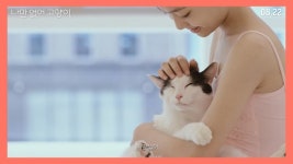 영화 나만 없어 고양이 런칭 예고편 공개