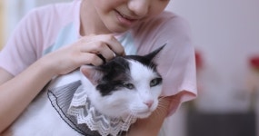 영화 나만 없어 고양이 귀여운 고양이들 담긴 보도 스틸 공개