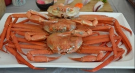 해산물 신선도 보장하는 강릉 맛집 솔바로횟집, 푸짐한 스끼다시 화제