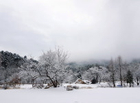 숲속 감성 카페 더가드너스에서 따뜻한 겨울 힐링하기