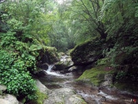 경기도, 불법시설물 철거한 포천 백운계곡 등 3곳. 청정계곡 관광명소로 육성