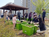 동구 신천도서관, 옥상 텃밭 프로그램도시농부운영