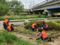 오산시 대원동오산천 작은 정원 가꾸기행사 개최