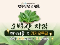 영주 소백산 명이나물, 카카오톡으로 주문하세요