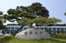 영주시 ㈜제이택 대표이사 최윤이, 아너 소사이어티 영주10호 가입