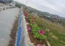 연천군 군남면 주민자치위원회와 함께 만드는 도화 십리길
