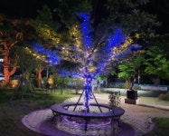 사천시 남양동주민자치위원회, 야간 조명 설치