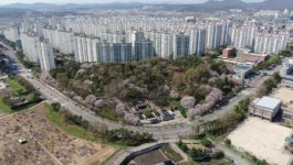 파주시,경기 First 공모 4회 연속 본선진출 쾌거