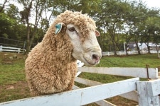 [포토에세이-하루 여행] 푸른 바다와 섬들이 손짓하는 곳