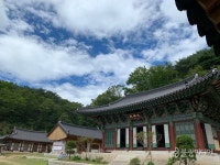 정호승·나태주·정여울 작가와 템플스테이 어때요?