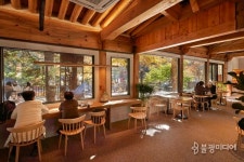 도깨비가 고백했다던 숲길 끝 하늘의 정원