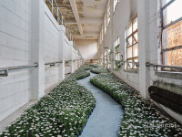 [상상붓다] 예술에서 마음 찾기