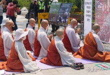 동물에게도 백신을