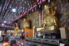 송림사 대웅전, 동화사 극락전·수마제전 보물 지정