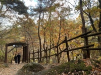 [길 둘러 절 들러] 가을 보내는 해인사 소리길