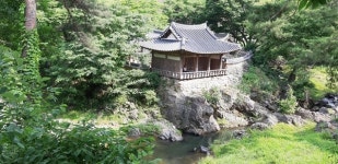 [지안의 문화이야기] 예천 용문사