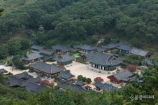 [시가 말을 걸다] 석연경 우주목, 송광사 비사리구시