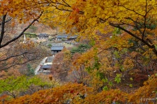 [이슈 있수다] 가을 속 명승 찾아 삼만리 Chapter 1