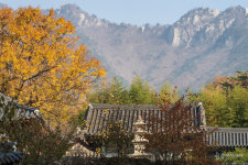 [달구벌 팔공산] 팔공산의 신화와 전설