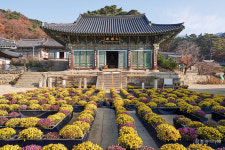 [달구벌 팔공산] 달구벌의 영산