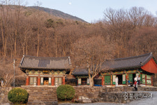 [일연이 꿈꾼 삼국유사 비슬산] 비슬산 자락의 소재사