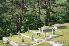 [좌우당간 강릉 삼척] 강릉 이모저모