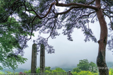 [좌우당간 강릉 삼척] 범일의 후예들