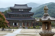 동학산행(東學山行) ⑨ 전봉준 여식에 아른거리는 금산사