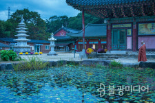 [곰이 세운 절, 성주사] 곰절의 아침