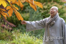 선용기심(善用基心), 마음 잘 쓰고 심는 게 인생이에요-통도사 반야암 지안 스님