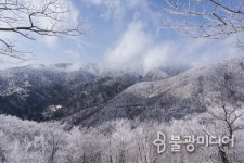 우리 스님 한암 스님 ⑤ 성불 못한 부처