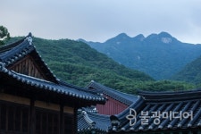 동학산행(東學山行)⑩  동학농민군의 주둔지, 갑사