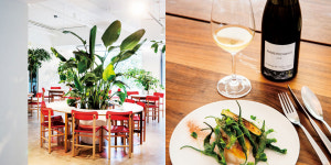 내추럴 와인 바 2편 바 피크닉