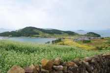 계절따라 다니는 완도, 남해, 담양의 한산한 여행지